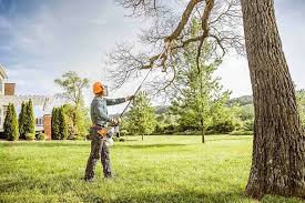 Best Tree and Shrub Care  in Veneta, OR